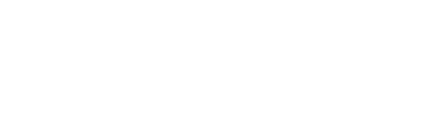 TerraDomi Logo – Kunde der Amazon Agentur amaflow